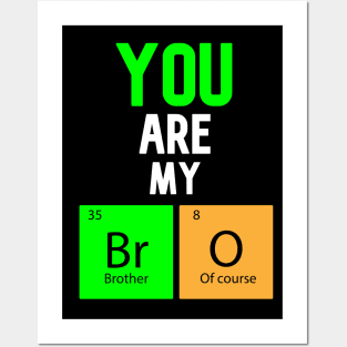 You are my Bro Posters and Art